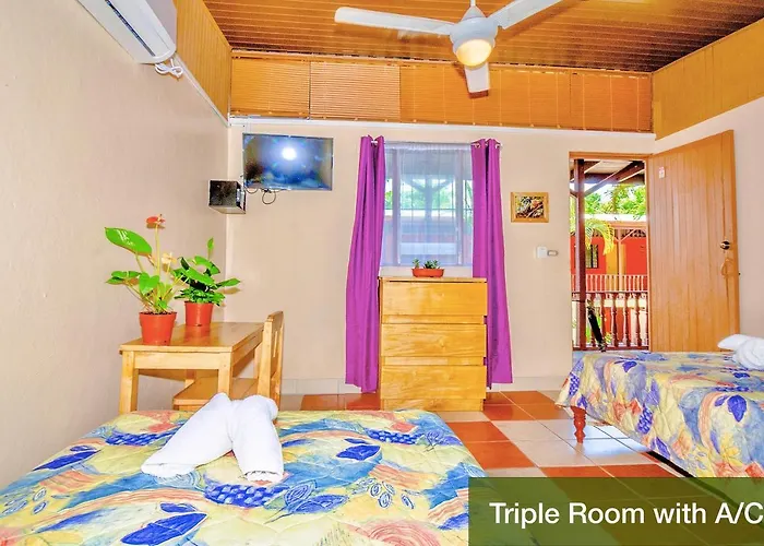 Hotel Blue Iguana