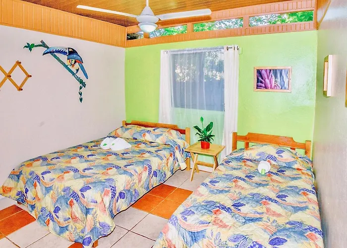 Hotel Blue Iguana 3*