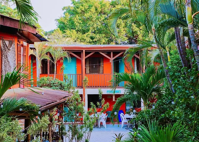 Blue Iguana