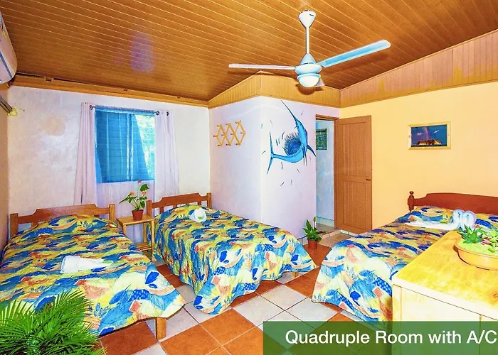 Blue Iguana 3* Samara
