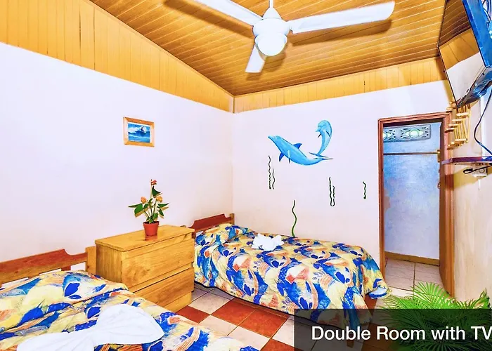 Hotel Blue Iguana 3*