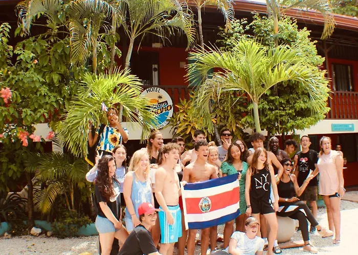 Blue Iguana 3*