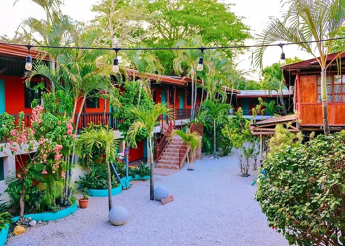 Hotel Blue Iguana