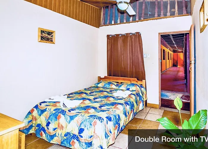 Hotel Blue Iguana 3*