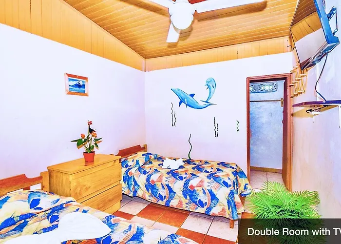 Hotel Blue Iguana