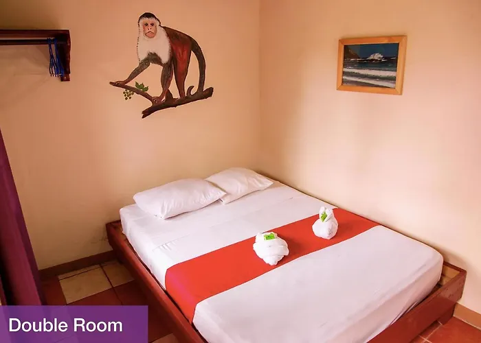 Hotel Blue Iguana Samara
