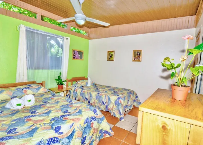 Blue Iguana 3* Samara