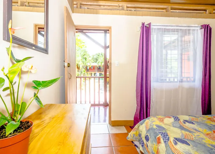 Blue Iguana Hotel