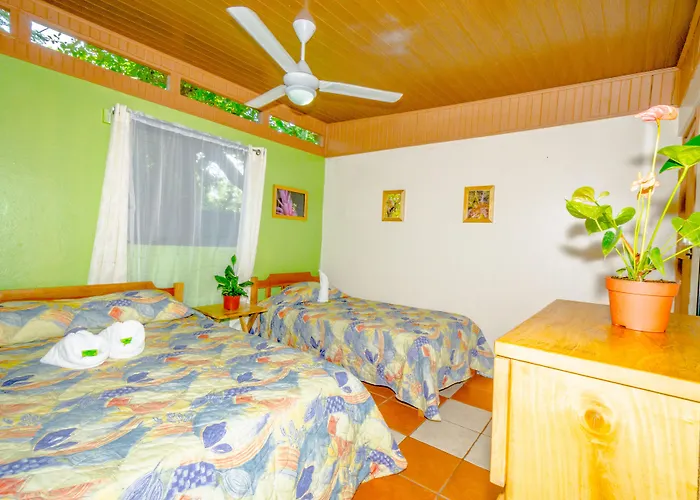Blue Iguana Hotel Samara