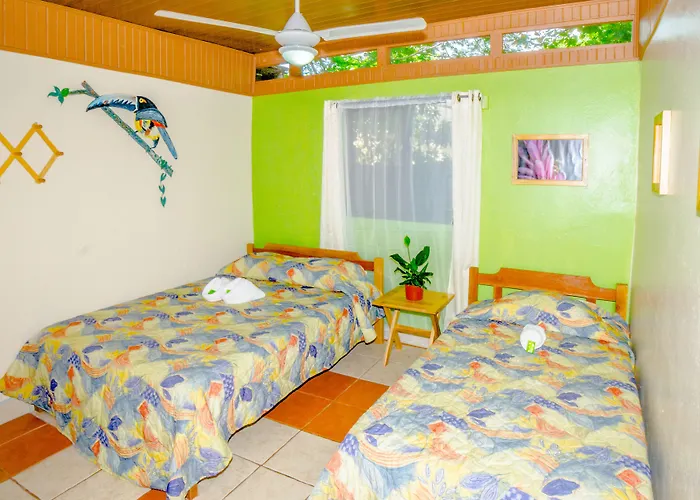 Hotel Blue Iguana Samara
