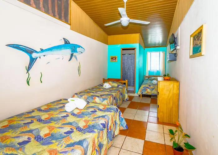 Blue Iguana Hotel 3*