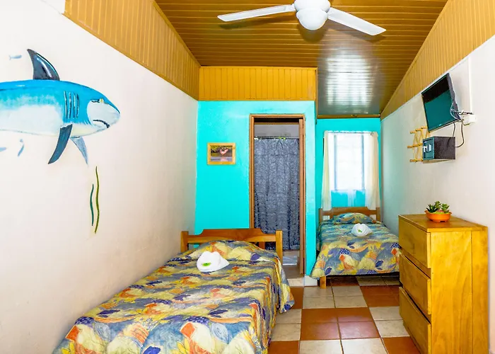 Blue Iguana 3*