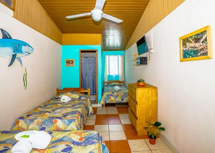 Hotel Blue Iguana