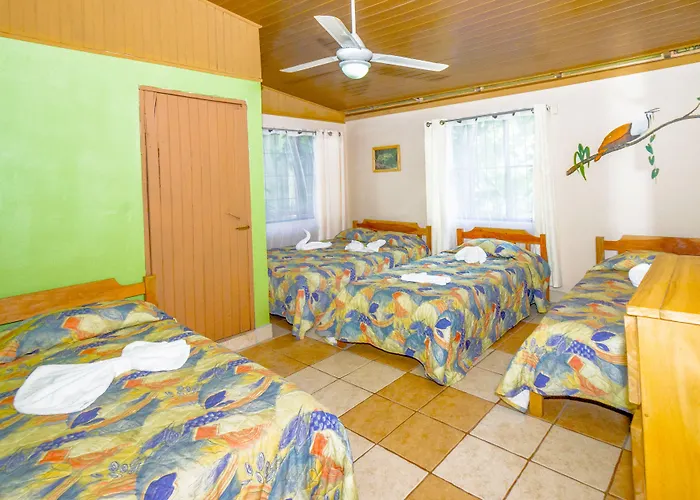 Hotel Blue Iguana Samara