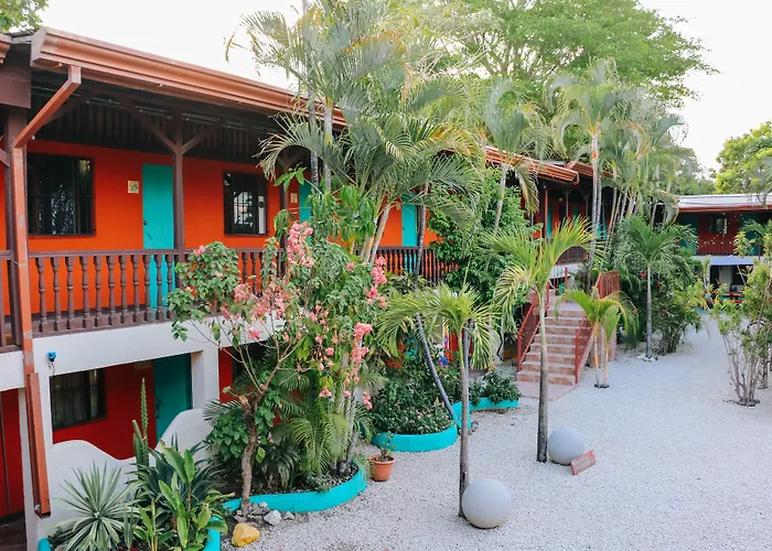 Blue Iguana 3*