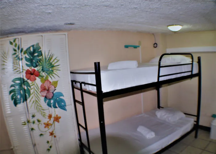 Blue Iguana Hotel